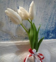 3 tulip